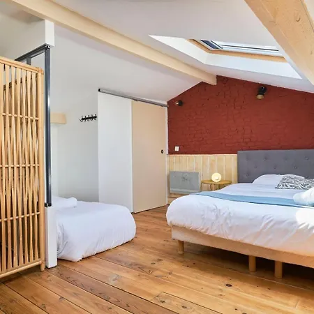 Old With Terrace Apartment Lille