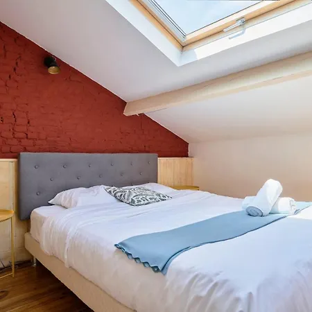 Old With Terrace Apartment Lille