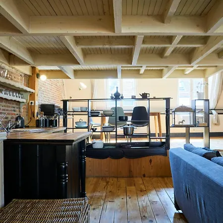 Apartment Old With Terrace Lille